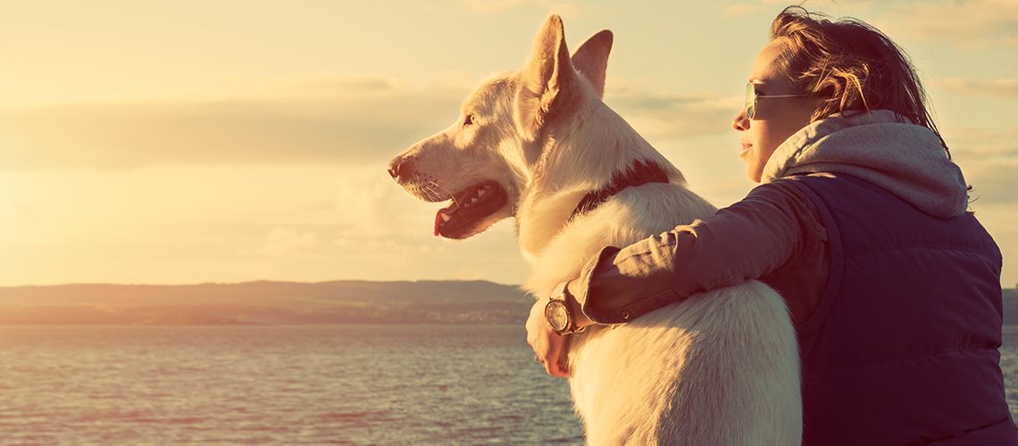 Anche il cane entra nella separazione fra coniugi!