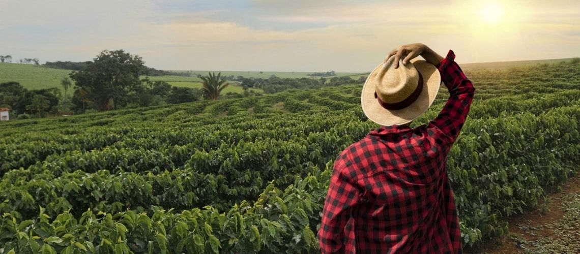 La permuta dei terreni agricoli porta alla perdita di agevolazioni