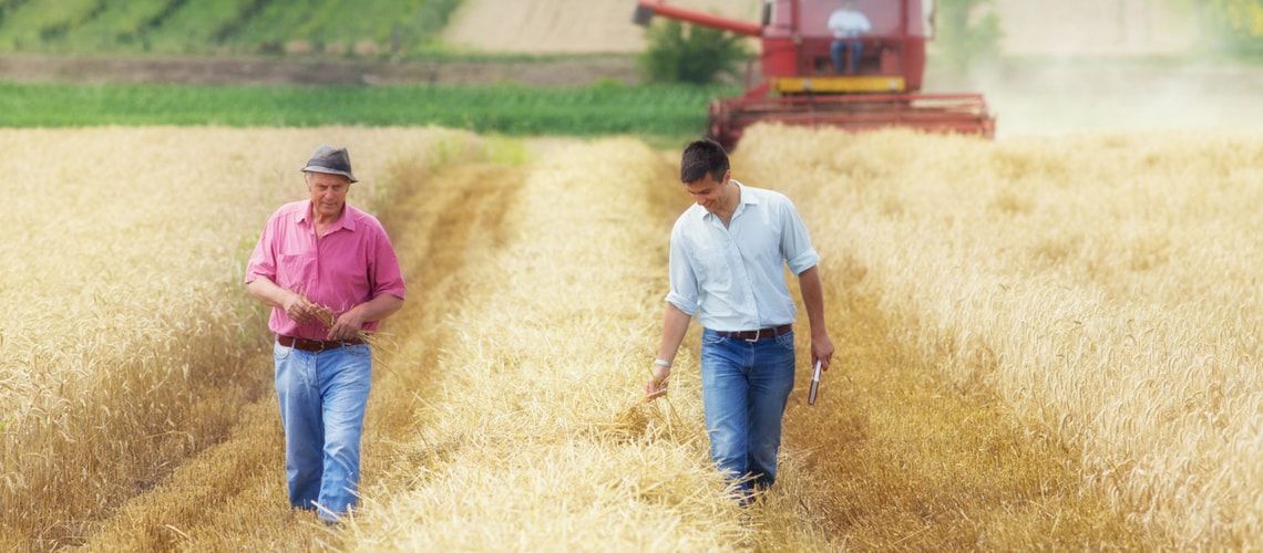 Il delicato momento del passaggio generazionale nelle società agricole