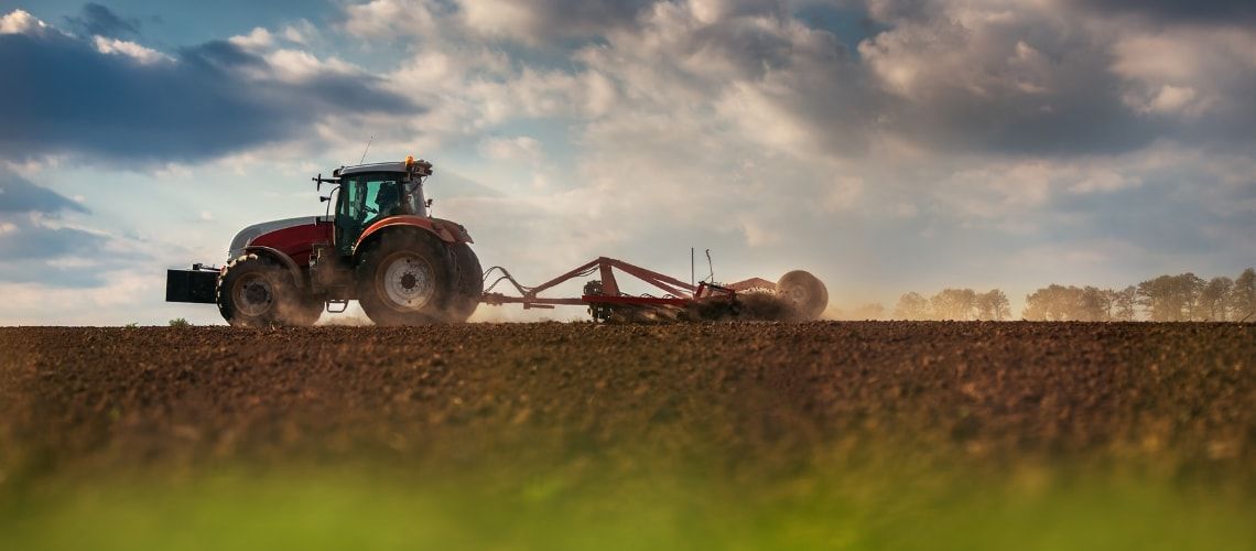 Come funziona la prelazione agraria: diritti, doveri e disciplina